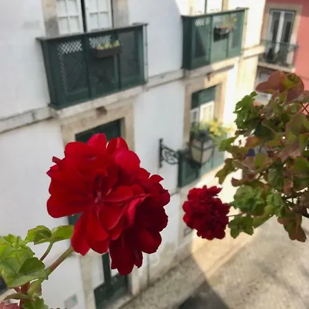 In The Heart Of Lisbon-3